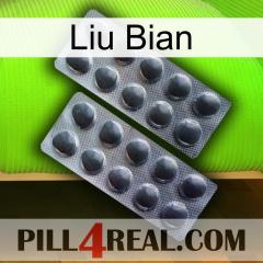 Liu Bian 31